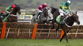 Cheltenham Hurdle Action - Cheltenham Festival Results